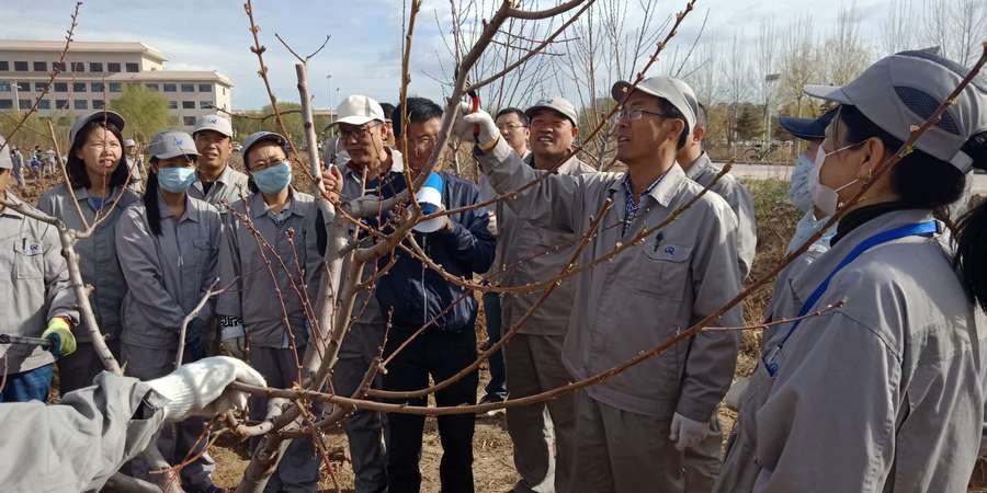 1556066611118197.jpg 1.jpg