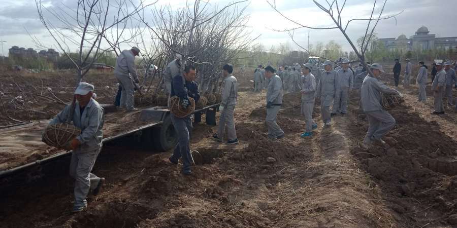 1556066624102344.jpg 2.jpg