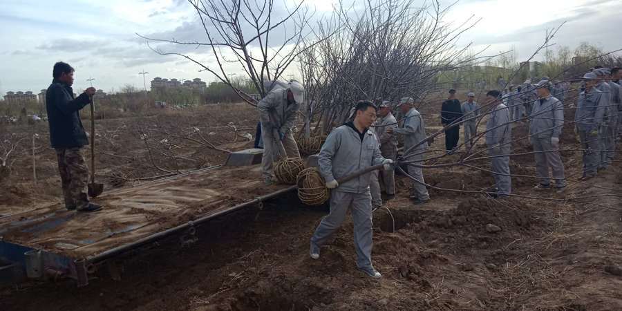 1556066714619031.jpg 3.jpg