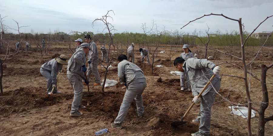 1556066775926694.jpg 7.jpg