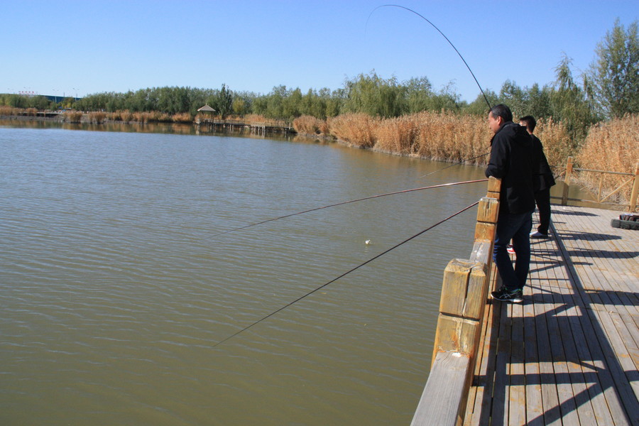 1572311283126812.jpg 123 125.JPG