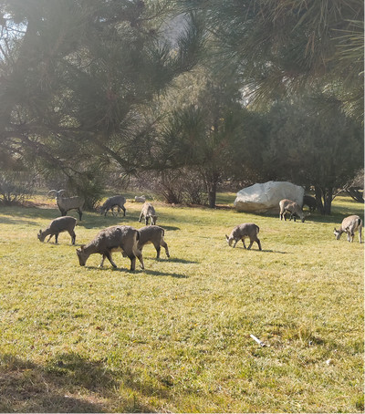 1607044901123910.jpg 图片2.png.jpg