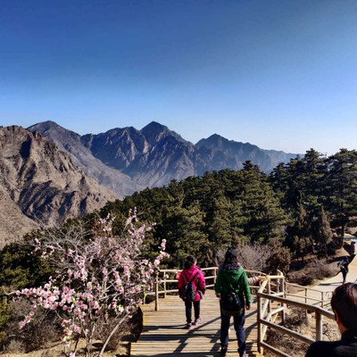 1607044963822041.jpg 图片3.png.jpg