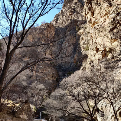 1607045002892761.jpg 图片4.png.jpg